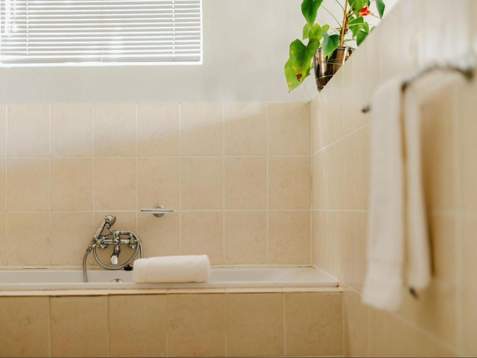 Hopefield Guesthouse-Addo Phòng bức ảnh